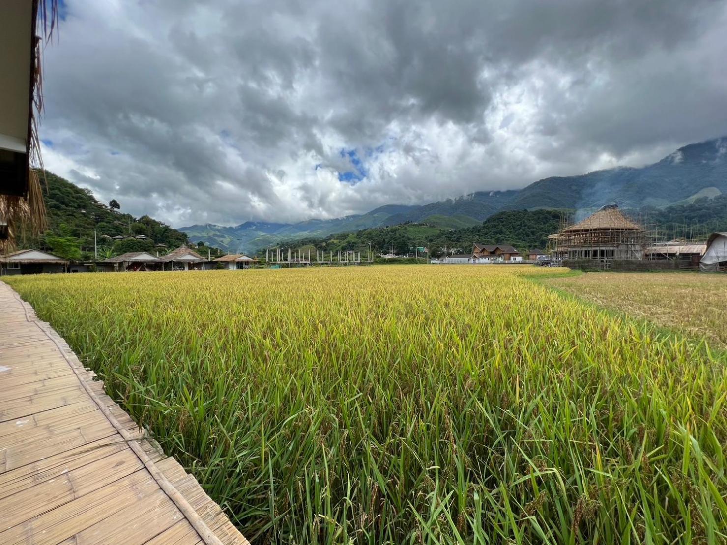 สะปันดีวิว Sapan Dee View บ่อเกลือ น่าน Lejlighed Ban Huai Ti Eksteriør billede